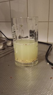 Conker laundry detergent